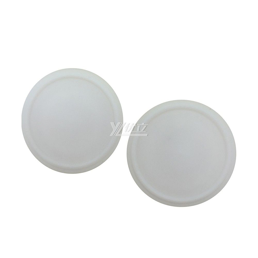 YOULI Hygienic Food Grade Customized White Pipe Sanitary Tri Clamp Blank PTFE Seal