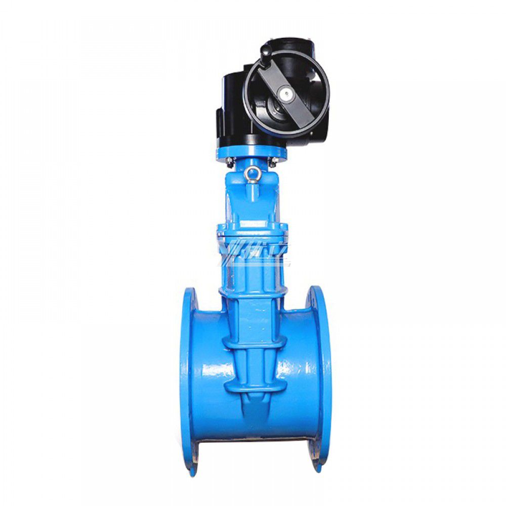 YOULI ANSI 150LB 304 316 Stainless Steel Cast Iron Water Soft Seal  1.6mpa Motorized AC380V Electric Flanged Gate Valve