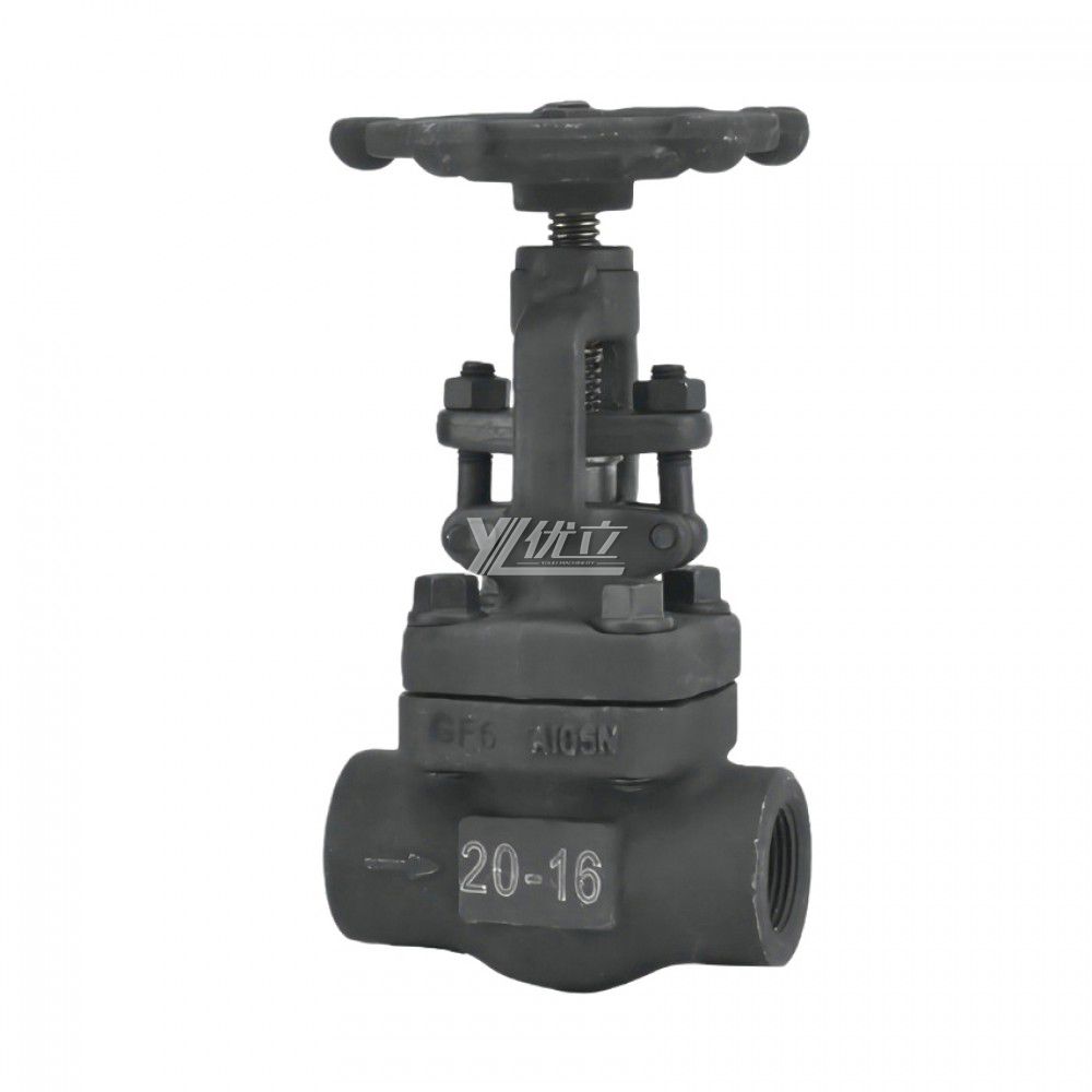 YOULI API ANSI 150-800LB 304 316 Stainless Steel A105 F11 F22 1.6-10mpa NPT BSP Forged Screw Female Threaded Gate Valve