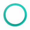 YOULI Hygienic Food Grade Customized Sanitary Detect Tri Clamp Green VITON Sealing Ring
