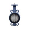 YOULI ISO5211 Stainless Steel ANSI 150LB 304 316 JIS 10K Pn10-16 Cast Iron PTFE EPDM Soft Seal Center Wafer Butterfly Valve