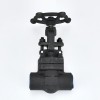 YOULI High Temperature Steam ANSI 150-1500LB 304 316 Stainless Steel A105 1.6-100mpa NPT BSP Forged Female Threaded Globe Valve
