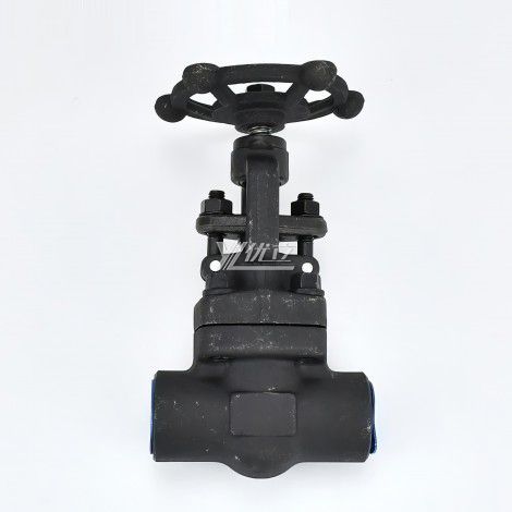 YOULI High Temperature Steam ANSI 150-1500LB 304 316 Stainless Steel A105 1.6-100mpa NPT BSP Forged Female Threaded Globe Valve