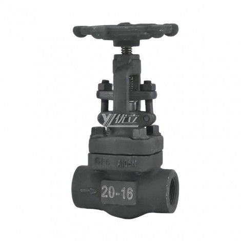 YOULI API ANSI 150-800LB 304 316 Stainless Steel A105 F11 F22 1.6-10mpa NPT BSP Forged Screw Female Threaded Gate Valve
