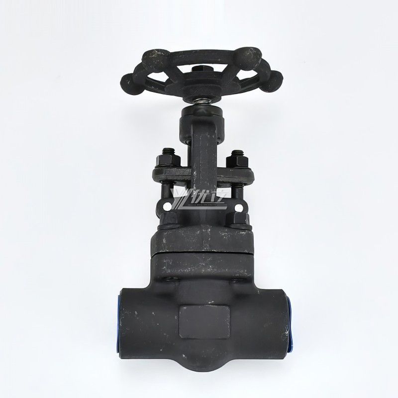 YOULI High Temperature Steam ANSI 150-1500LB 304 316 Stainless Steel A105 1.6-100mpa NPT BSP Forged Female Threaded Globe Valve
