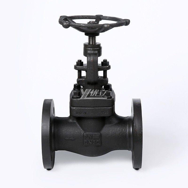 YOULI High Temperature Steam API ANSI 150-800LB 304 316 Stainless Steel A105 JIS 10K PN16-64 Forged Manual Flagned Globe Valve