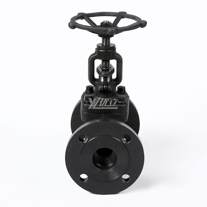 YOULI High Temperature Steam API ANSI 150-800LB 304 316 Stainless Steel A105 JIS 10K PN16-64 Forged Manual Flagned Globe Valve