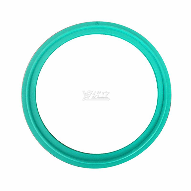 YOULI Hygienic Food Grade Customized Sanitary Detect Tri Clamp Green VITON Sealing Ring