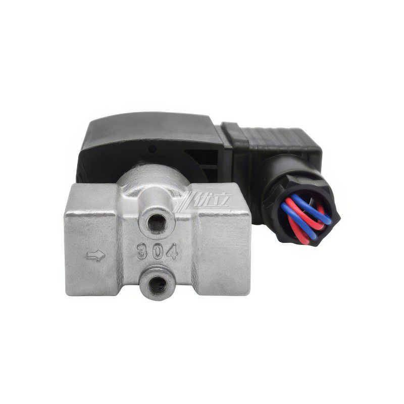 YOULI 2W Stainless Steel 304 316 Two Way Npt Bsp AC220V DC24V Water Oil Gas Straight Female Thread Mini Solenoid Valve