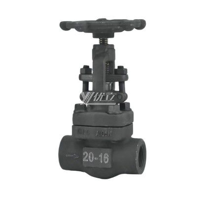 YOULI API ANSI 150-800LB 304 316 Stainless Steel A105 F11 F22 1.6-10mpa NPT BSP Forged Screw Female Threaded Gate Valve